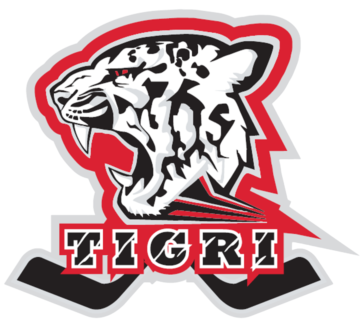 TIGRI logo